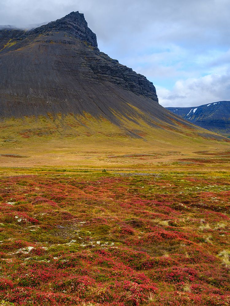 Iceland. Landscape in Dyrafjordur during autumn.